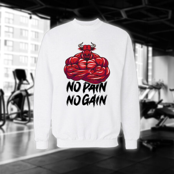 No Pain No Gain